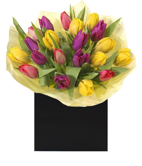 Cheerful Tulips - Flowers Made Easy