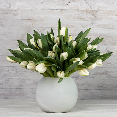 White Tulips - Flowers Made Easy