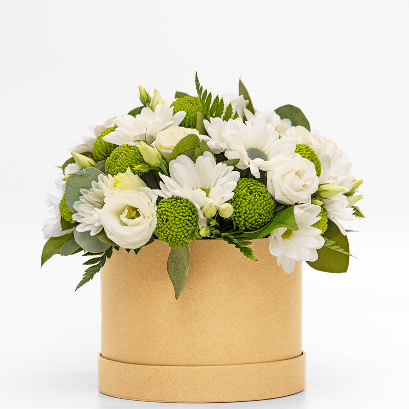 White and Green Hatbox