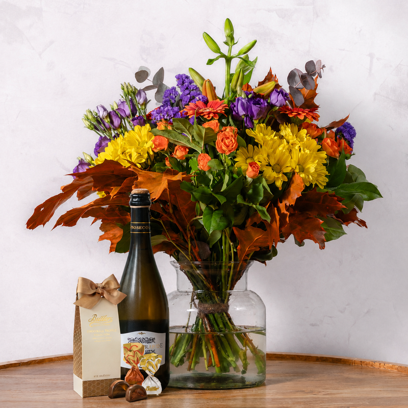 Autumn Comfort Bundle