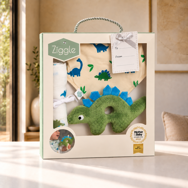 Dinosaur Baby Bundle