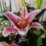 Blushing Beauty & Prosecco