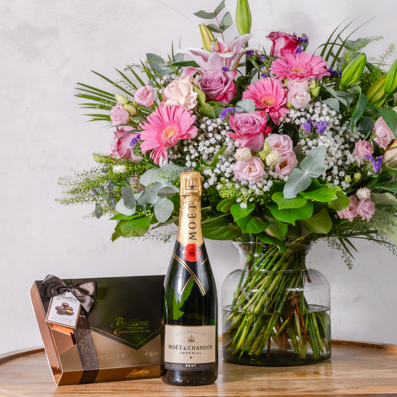 Elegant Bundle