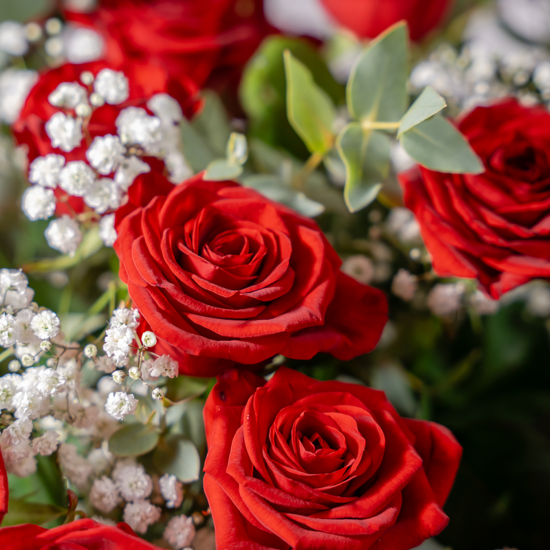 Fifty Red Roses luxury bouquet, fifty red roses hand-tied and finished with seasonal greens