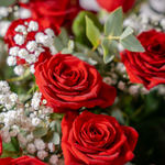 Fifty Red Roses luxury bouquet, fifty red roses hand-tied and finished with seasonal greens