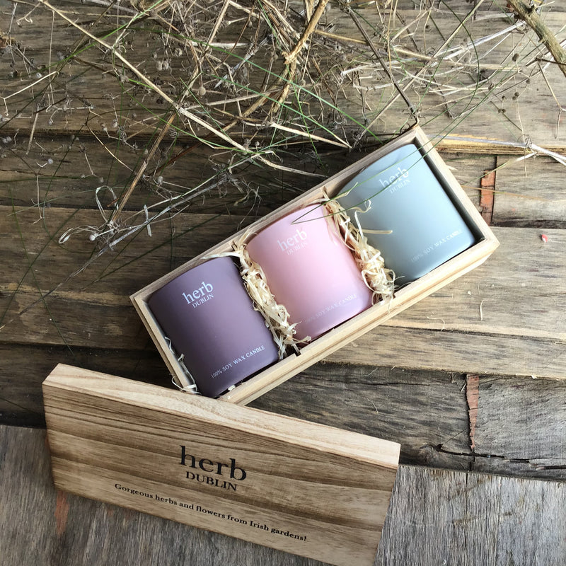 Herb Dublin Trio of Scented Candles