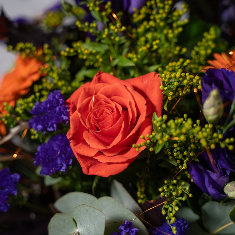 Harvest Bloom