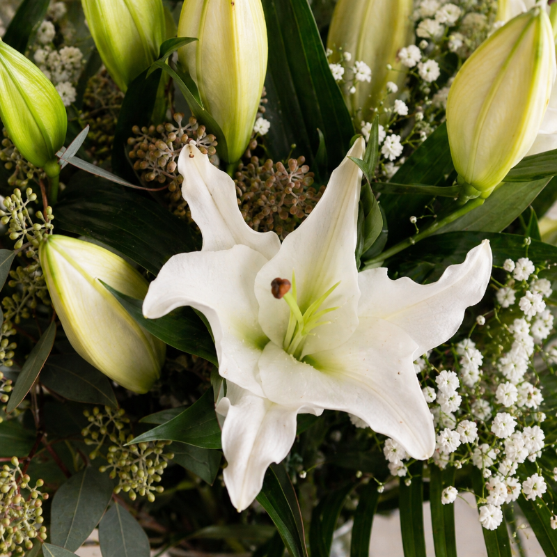 Side view of Lovely Lilies white lily bouquet with eucalyptus and phoenix palm leaves available for same-day Dublin delivery