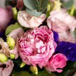Close up of Peony Hatbox showing peony roses and lisianthus with gypsophilia and eucalyptus in a self-contained summer flower gift