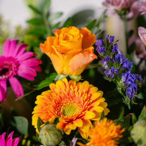 Spring Surprise