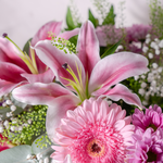 Close up of Blooming Beautiful bouquet showing pink roses, lilies and gerbera with gypsophilia in a generous luxury arrangement