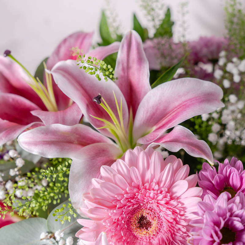 Close up of Blooming Beautiful bouquet showing pink roses, lilies and gerbera with gypsophilia in a generous luxury arrangement