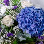 Close up of Blue Moon bouquet showing blue hydrangeas and white roses with gypsophilia and eucalyptus in an elegant blue and purple arrangement