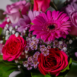Close up of Signature Hatbox showing roses, germini and waxflowers with gypsophilia and aspidistra leaves in a fully arranged self-contained flower gift