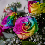 Close up of Half Dozen Rainbow Roses showing stunning multicoloured rose blooms with soft gypsophilia available for same-day Dublin delivery