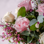 Close up of Dreamy bouquet showing Avalanche roses and Candlelight roses with pink waxflowers in a romantic blush and cream arrangement