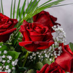 Close up of Dozen Red Roses bouquet showing luxury long-stem red roses with soft gypsophilia in a classic romantic arrangement