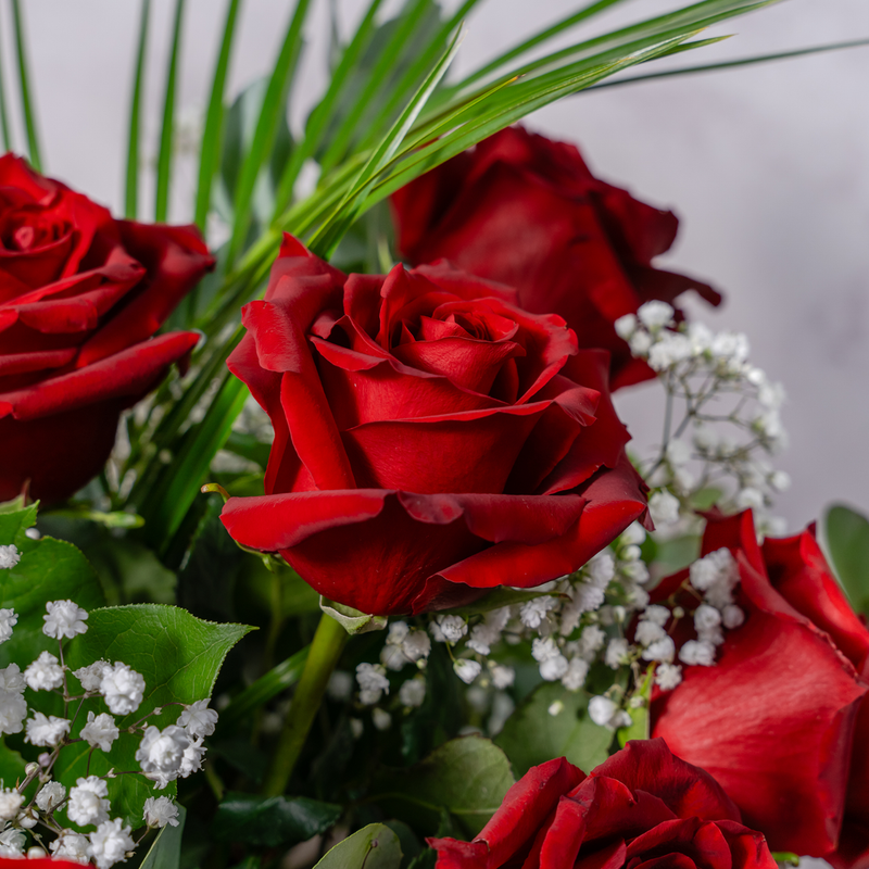 Close up of Dozen Red Roses bouquet showing luxury long-stem red roses with soft gypsophilia in a classic romantic arrangement