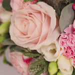 The spring Bundle