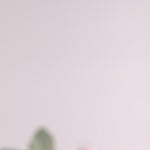 Spring Hatbox