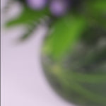 Antique Lilac