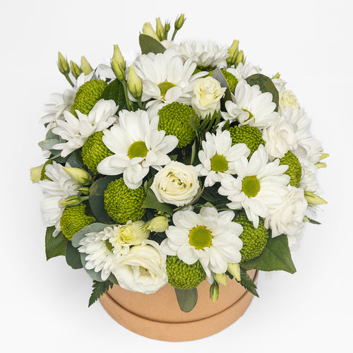 White and Green Hatbox