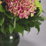 Florist Choice & Chocolates