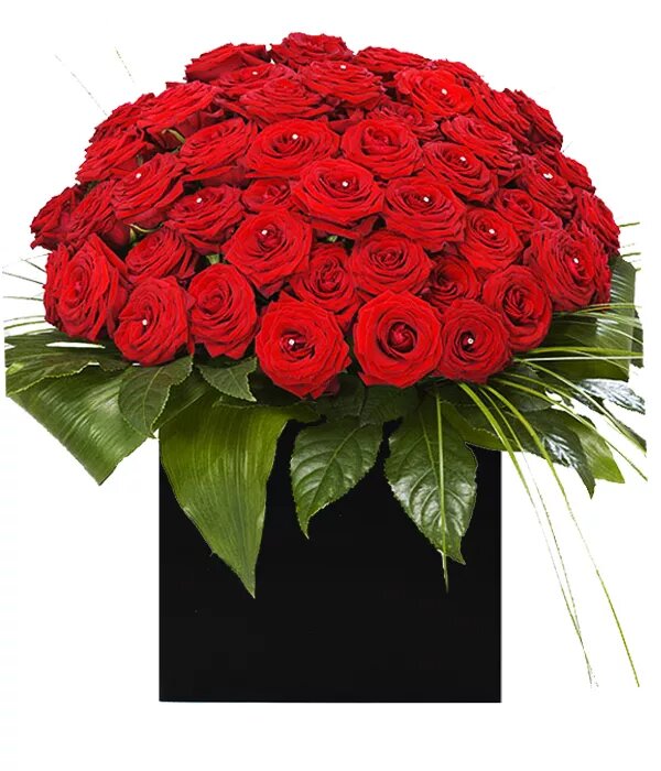 50 Red Roses - Flowers Made Easy