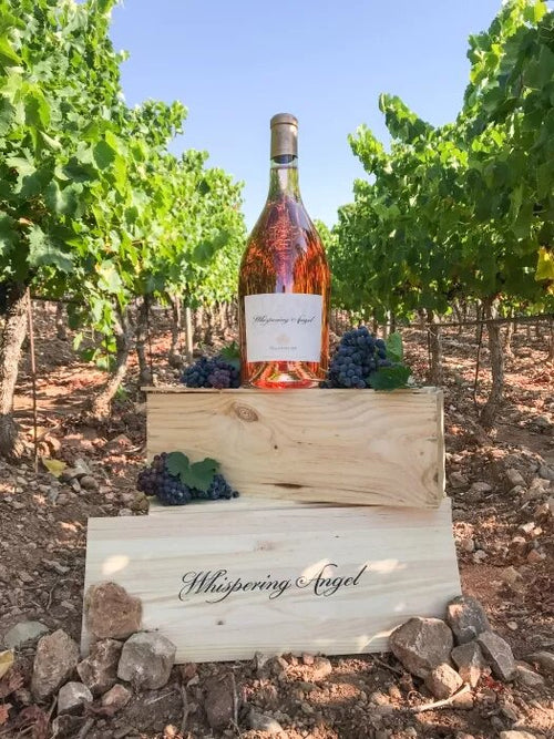 Chateau d'Esclans Whispering Angel - Flowers Made Easy